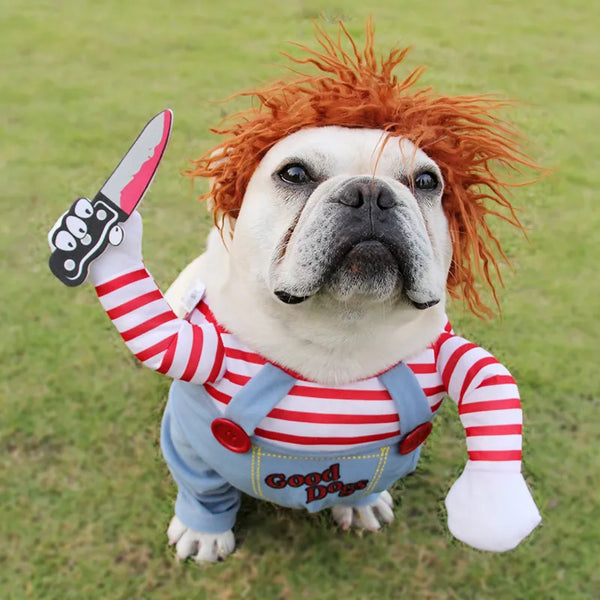 Fantasia Divertida de Halloween para Cães